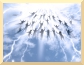 Remove & Clear Spirit Attachments & Possession & Black Magic & Curses & Hexes
